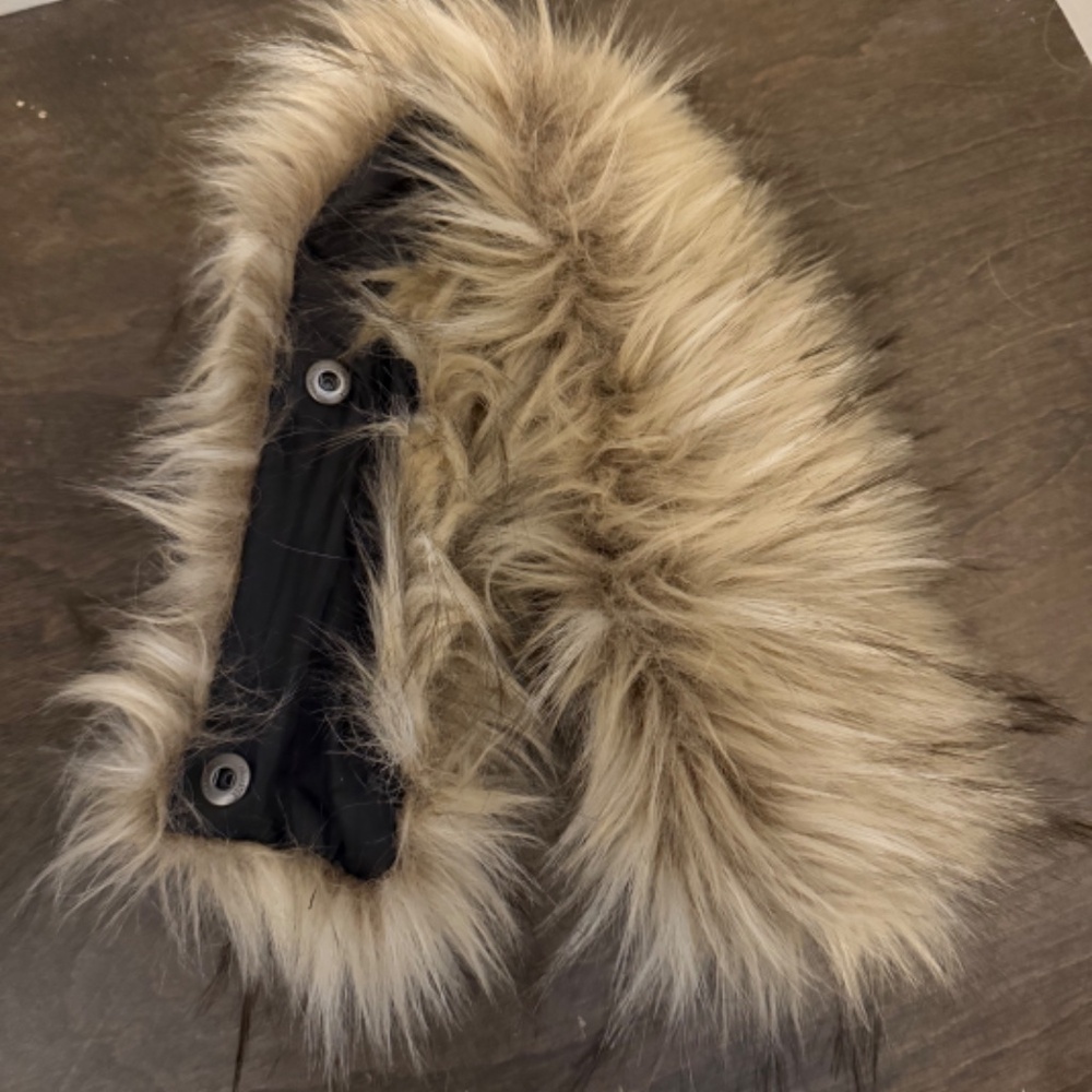 Abercrombie & Fitch Winter Parka - Picture 8 of 10